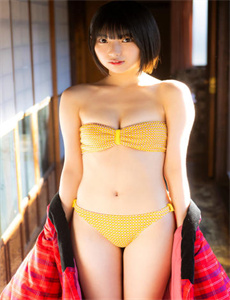 京武春秋