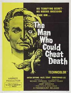 陆昭昭的刺客笔记