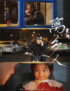 向阳花木易为春